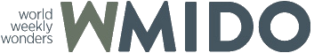 Logo WMido